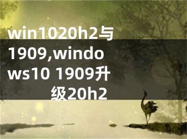 win1020h2与1909,windows10 1909升级20h2