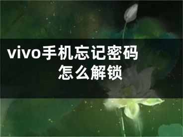 vivo手机忘记密码怎么解锁