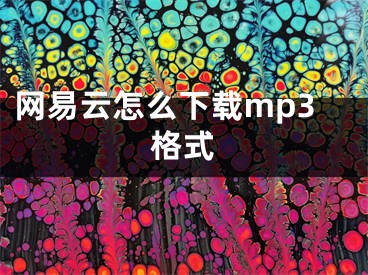 网易云怎么下载mp3格式