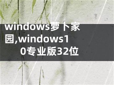 windows萝卜家园,windows10专业版32位