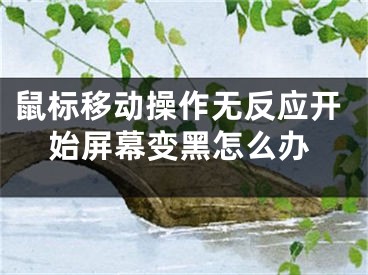 鼠标移动操作无反应开始屏幕变黑怎么办