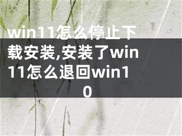 win11怎么停止下载安装,安装了win11怎么退回win10