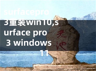 surfacepro3重装win10,surface pro 3 windows11