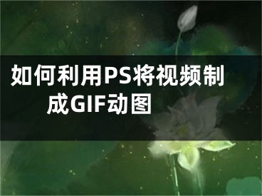 如何利用PS将视频制成GIF动图 