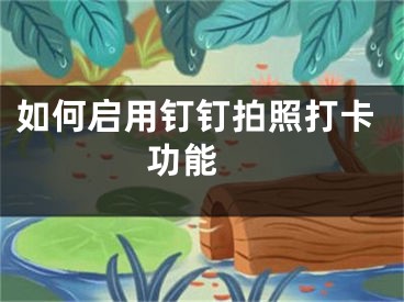 如何启用钉钉拍照打卡功能 