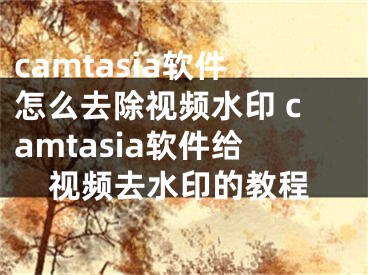 camtasia软件怎么去除视频水印 camtasia软件给视频去水印的教程