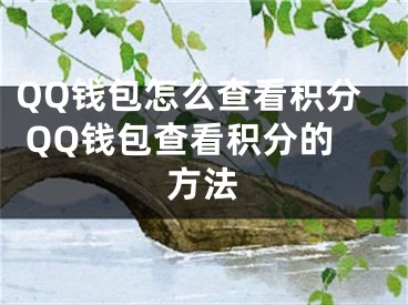 QQ钱包怎么查看积分 QQ钱包查看积分的方法