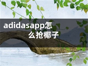 adidasapp怎么抢椰子