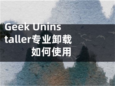 Geek Uninstaller专业卸载如何使用 