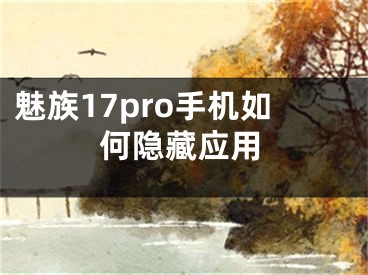 魅族17pro手机如何隐藏应用