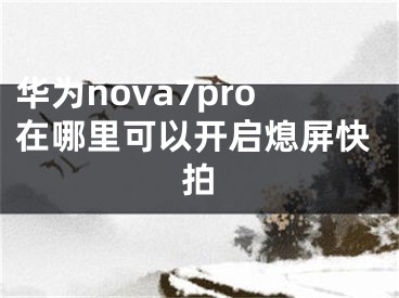 华为nova7pro在哪里可以开启熄屏快拍