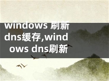 windows 刷新dns缓存,windows dns刷新