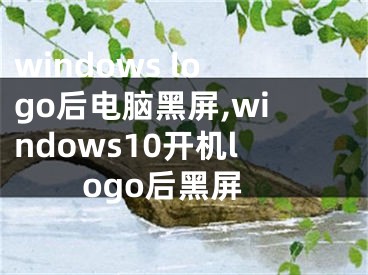 windows logo后电脑黑屏,windows10开机logo后黑屏