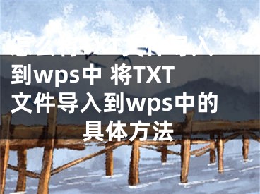 怎么将TXT文件导入到wps中 将TXT文件导入到wps中的具体方法