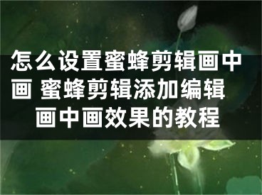 怎么设置蜜蜂剪辑画中画 蜜蜂剪辑添加编辑画中画效果的教程