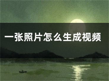 一张照片怎么生成视频