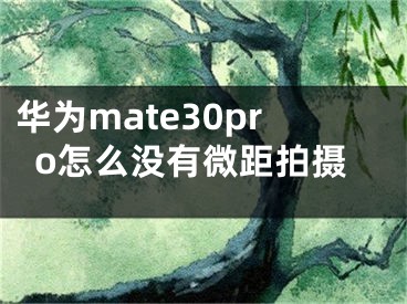 华为mate30pro怎么没有微距拍摄