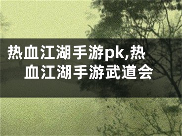 热血江湖手游pk,热血江湖手游武道会