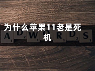 为什么苹果11老是死机