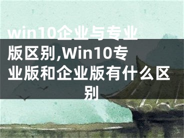 win10企业与专业版区别,Win10专业版和企业版有什么区别