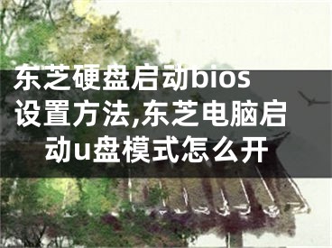 东芝硬盘启动bios设置方法,东芝电脑启动u盘模式怎么开