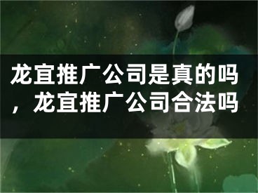 龙宜推广公司是真的吗，龙宜推广公司合法吗