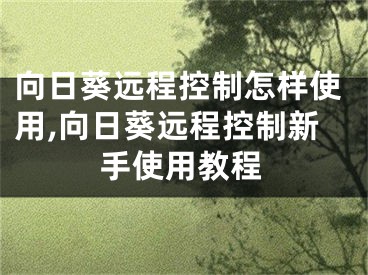 向日葵远程控制怎样使用,向日葵远程控制新手使用教程