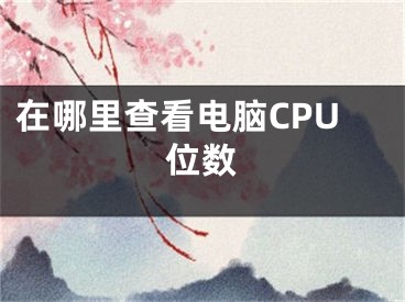 在哪里查看电脑CPU位数