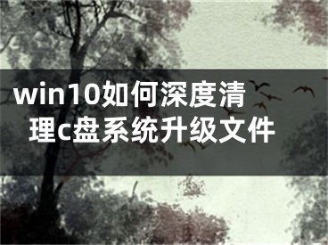 win10如何深度清理c盘系统升级文件