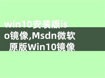win10安装版iso镜像,Msdn微软原版Win10镜像