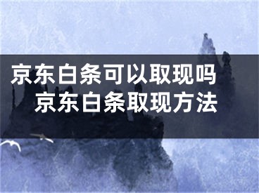 京东白条可以取现吗 京东白条取现方法