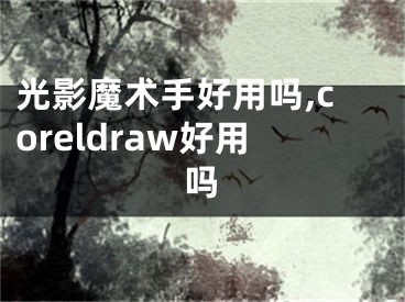 光影魔术手好用吗,coreldraw好用吗