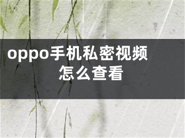 oppo手机私密视频怎么查看