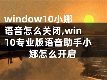 window10小娜语音怎么关闭,win10专业版语音助手小娜怎么开启