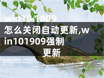 win10 1809怎么关闭自动更新,win101909强制更新 