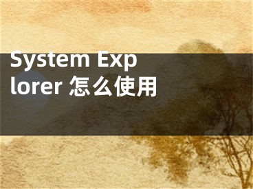 System Explorer 怎么使用 