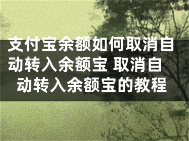 支付宝余额如何取消自动转入余额宝 取消自动转入余额宝的教程