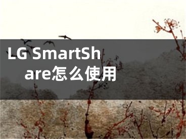 LG SmartShare怎么使用 