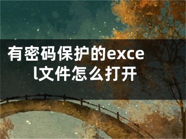 有密码保护的excel文件怎么打开