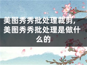 美图秀秀批处理裁剪,美图秀秀批处理是做什么的