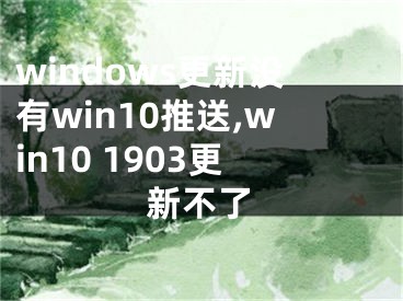 windows更新没有win10推送,win10 1903更新不了