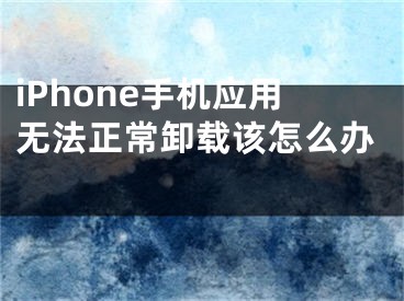 iPhone手机应用无法正常卸载该怎么办 