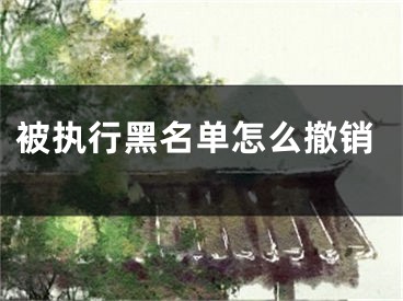 被执行黑名单怎么撤销