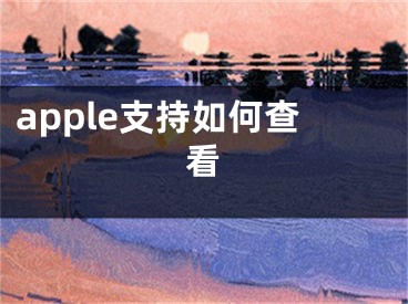 apple支持如何查看