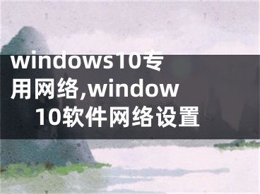 windows10专用网络,window10软件网络设置