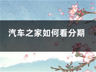 汽车之家如何看分期