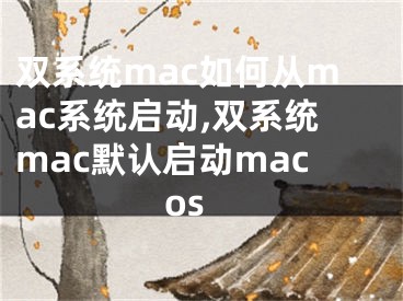 双系统mac如何从mac系统启动,双系统mac默认启动macos