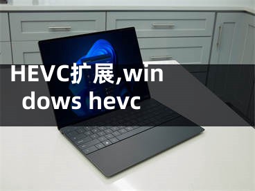 HEVC扩展,windows hevc
