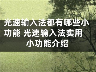 光速输入法都有哪些小功能 光速输入法实用小功能介绍