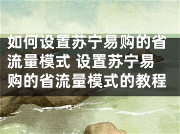 如何设置苏宁易购的省流量模式 设置苏宁易购的省流量模式的教程